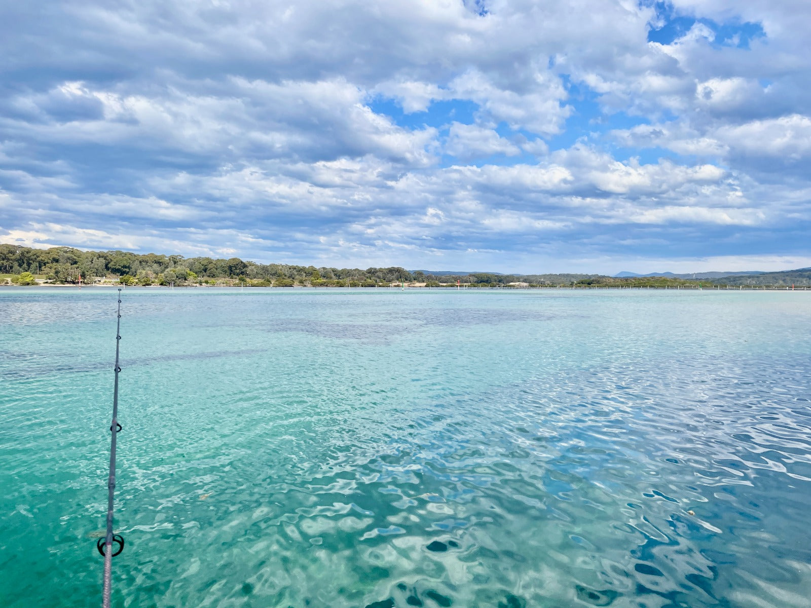 Fishing in Merimbula A Guide to the Best Spots, Fish, and Tips for