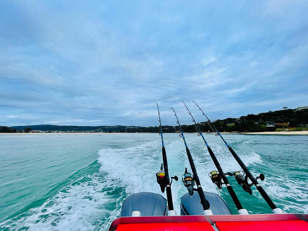 Merimbula Fishing Report Early February 2023 Boss Outdoor