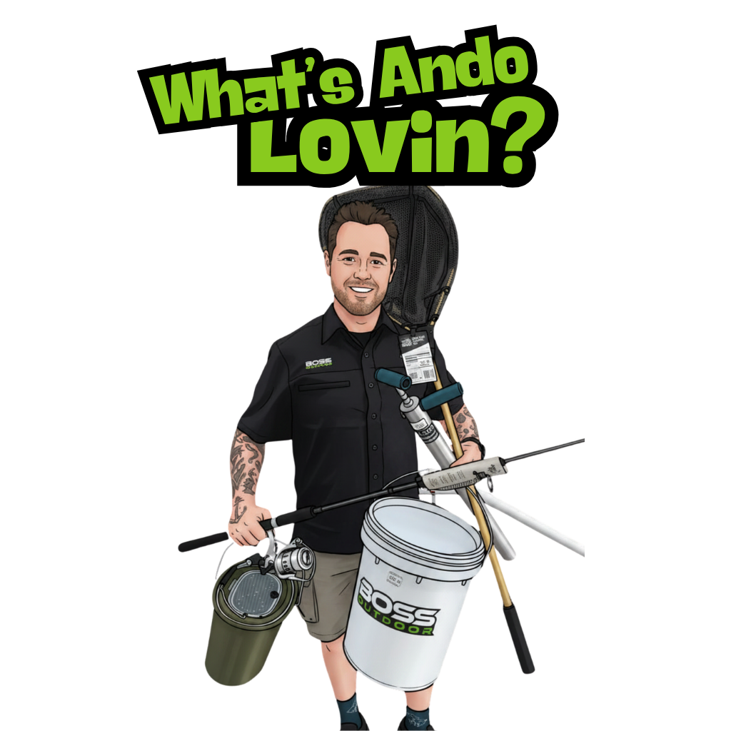 ANDO'S LOVIN 50% OFF NOMAD DESIGN LIVE OPS
