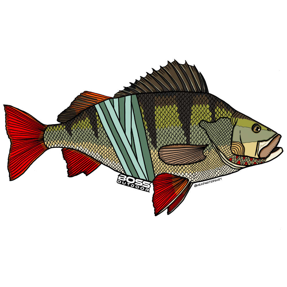 Boss/Headwaters Fish Sticker