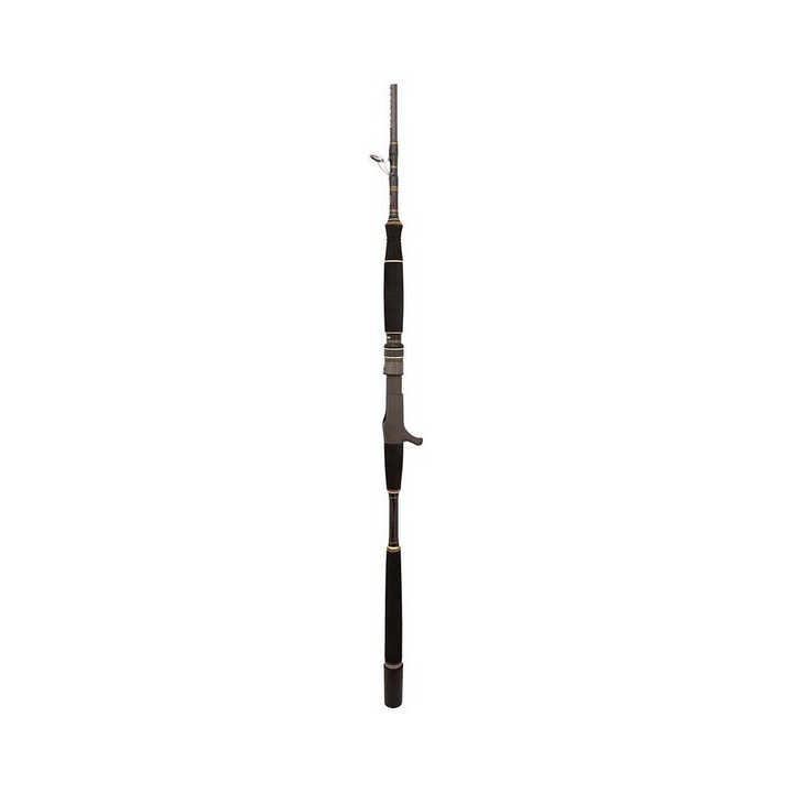 Penn Ocean Assassin Overhead Rod