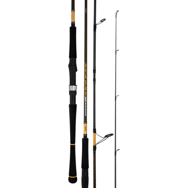 Daiwa 23 Seabass Spin Rod