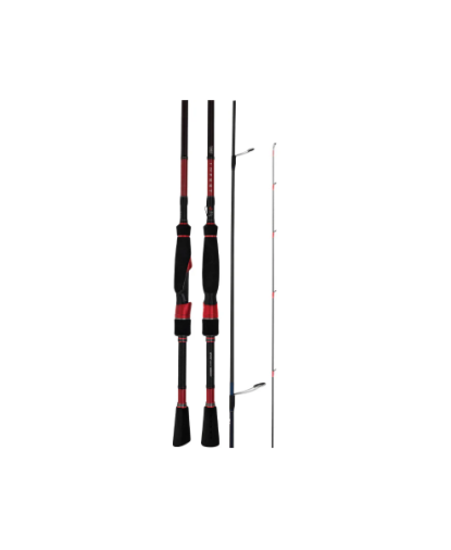 Daiwa 23 Infeet EX Spin Rod
