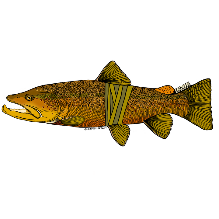 Boss/Headwaters Fish Sticker
