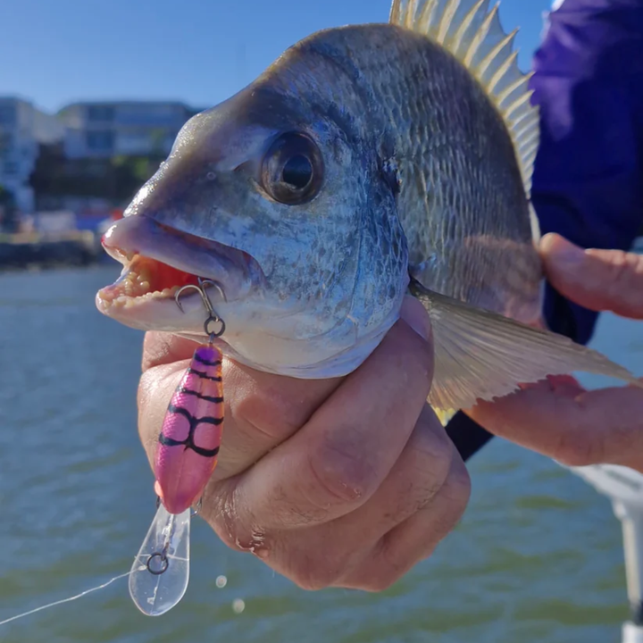 Barambah Lures Deton8or Lure