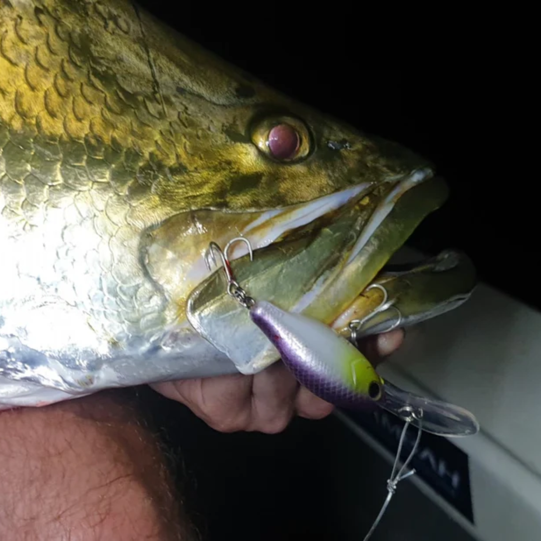 Barambah Lures Deton8or Lure