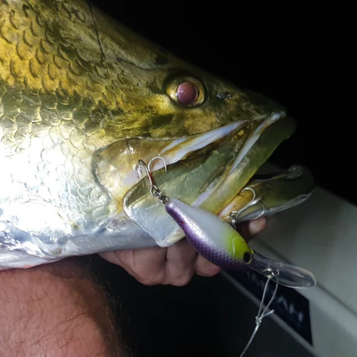 Barambah Lures Deton8or Lure