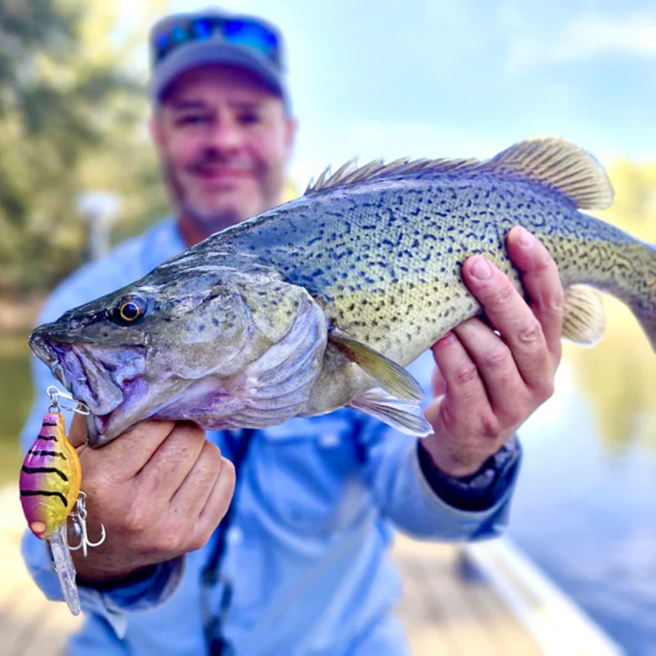 Barambah Lures Deton8or Lure