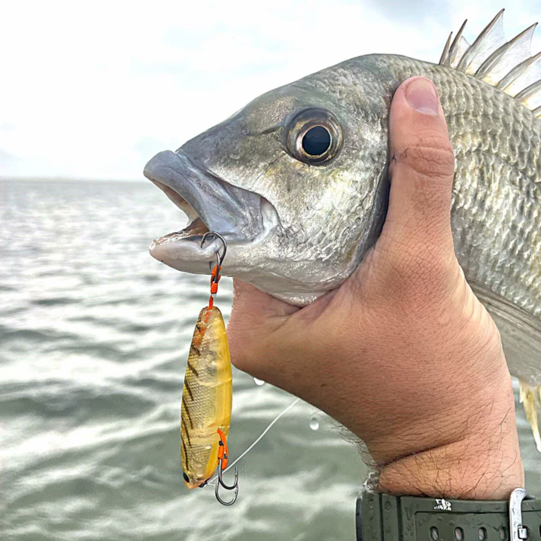 Barambah Lures Flats Dog Surface Lure