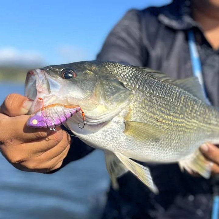 Barambah Lures Viben8or R Hard Vibe Lure