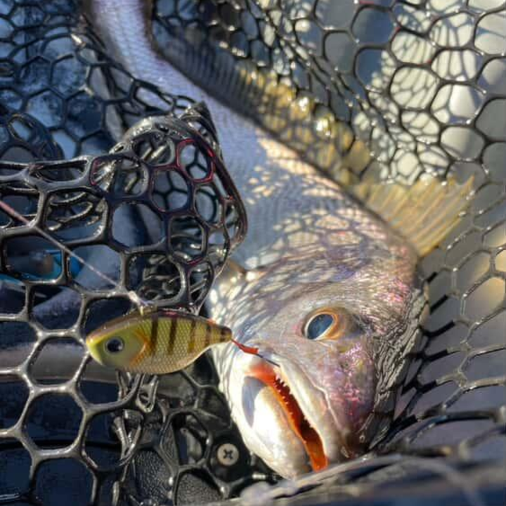 Barambah Lures Viben8or R Hard Vibe Lure
