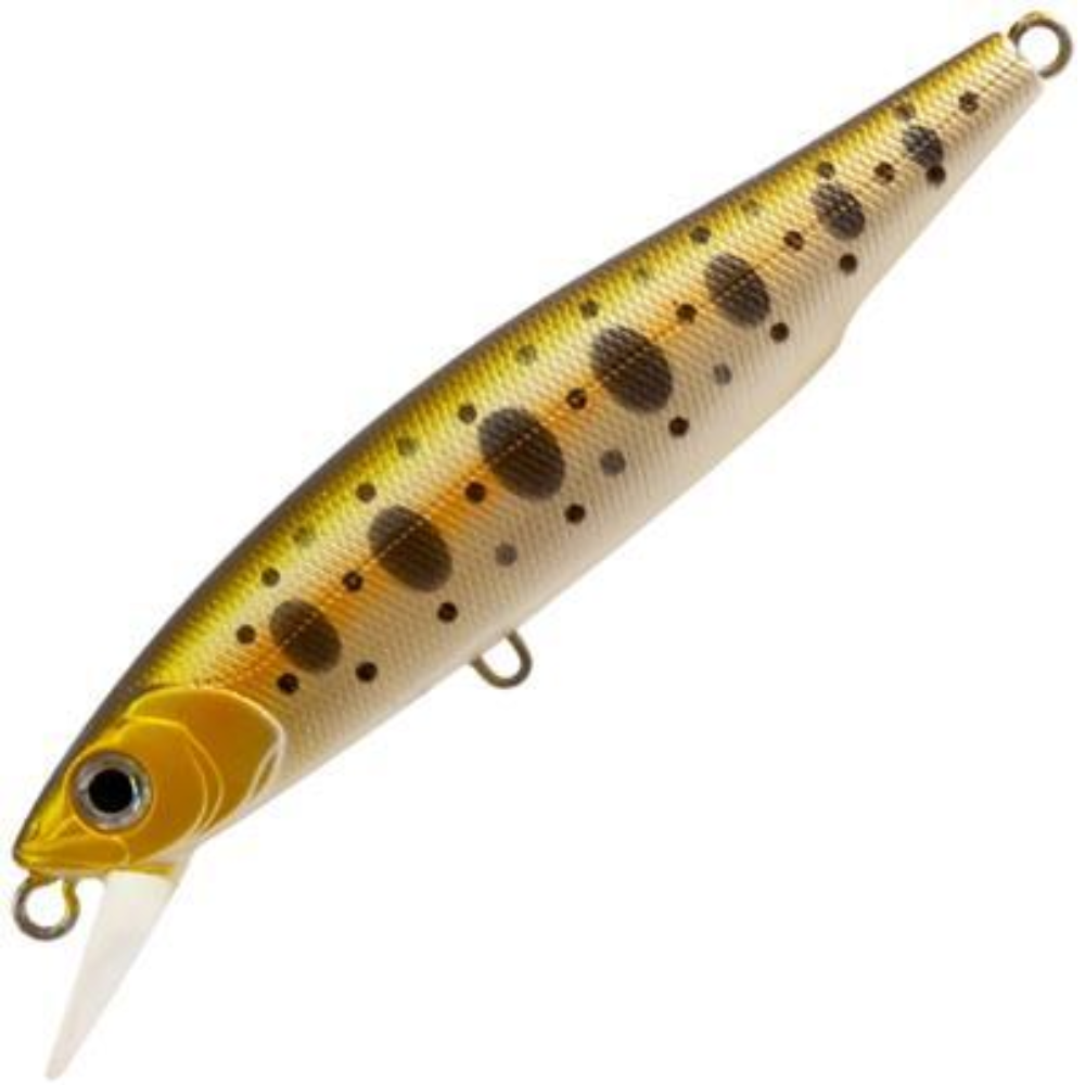 Mogul Minnow 66SP Dart