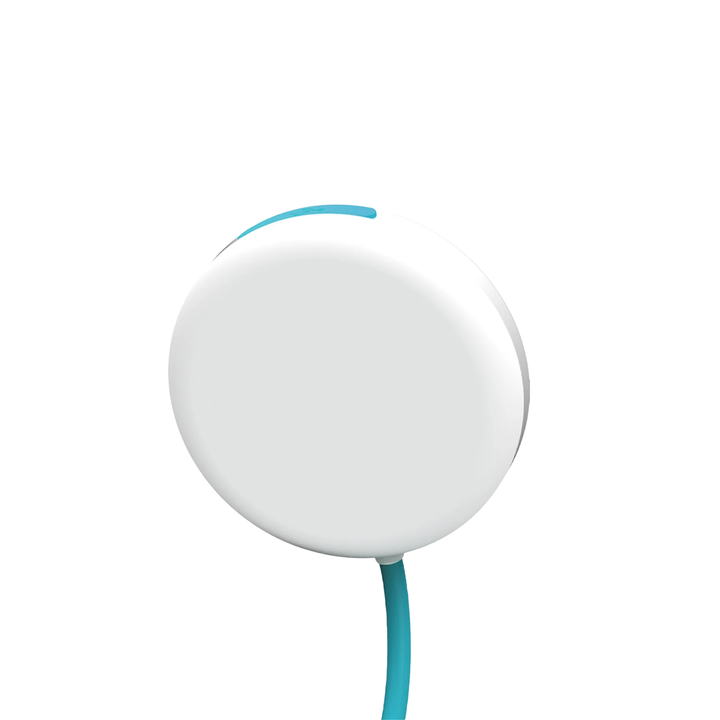 BioLite Solar Flex Light
