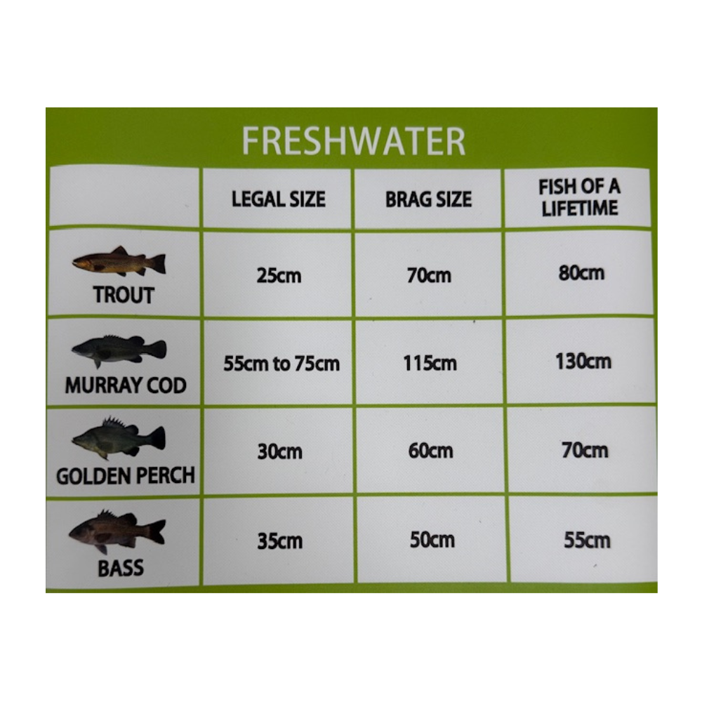 Boss Outdoor NSW Brag Mat