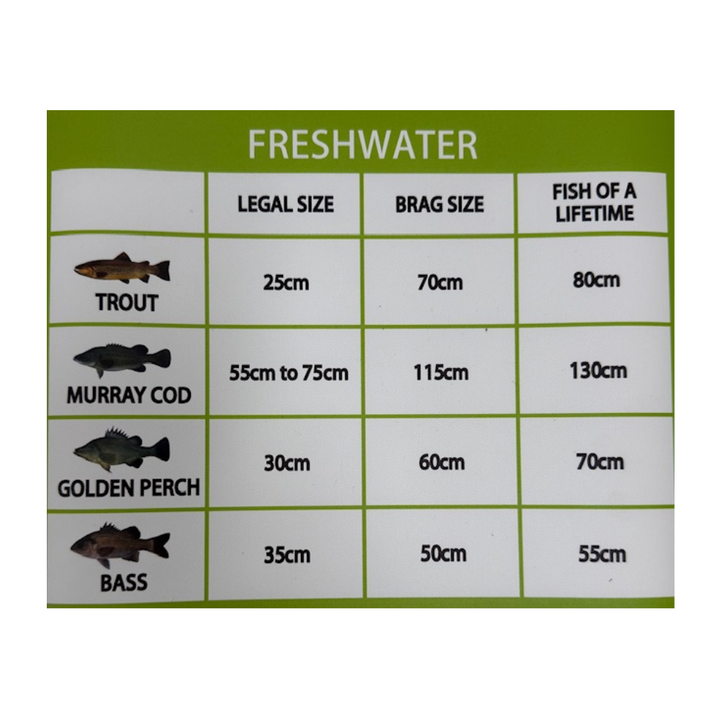 Boss Outdoor NSW Brag Mat