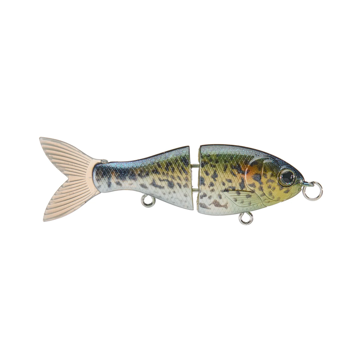 Bucca BFS Trick Shad 2.5 Inch