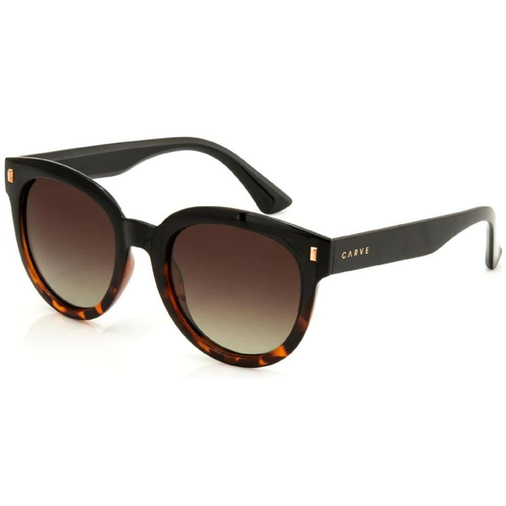 Carve-Harpo-Sunglasses-Black-Tort-Brown-Lens