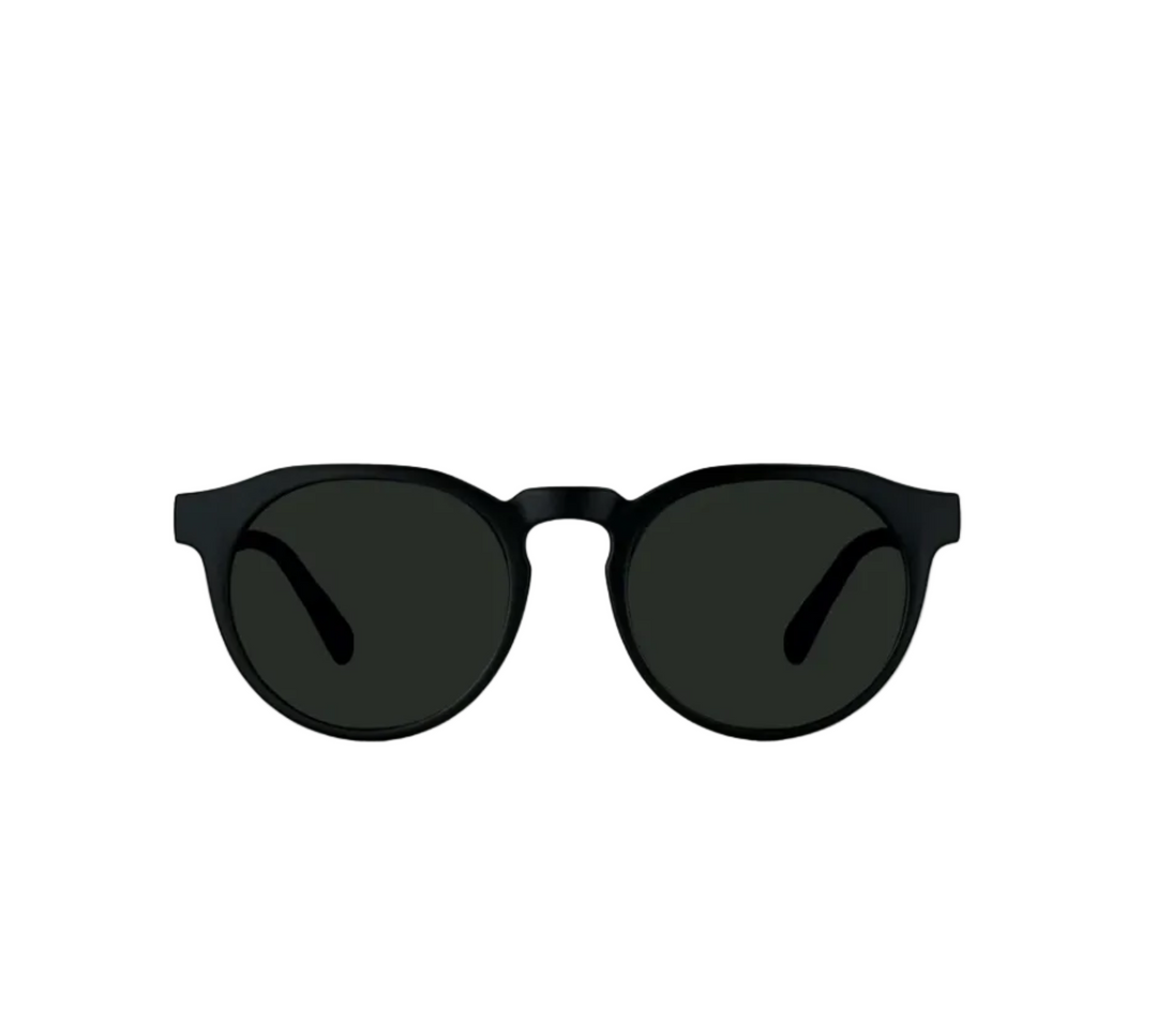 Carve Hudson Sunglasses