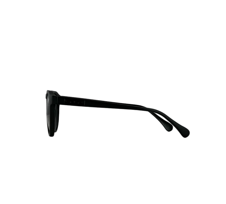 Carve Hudson Sunglasses
