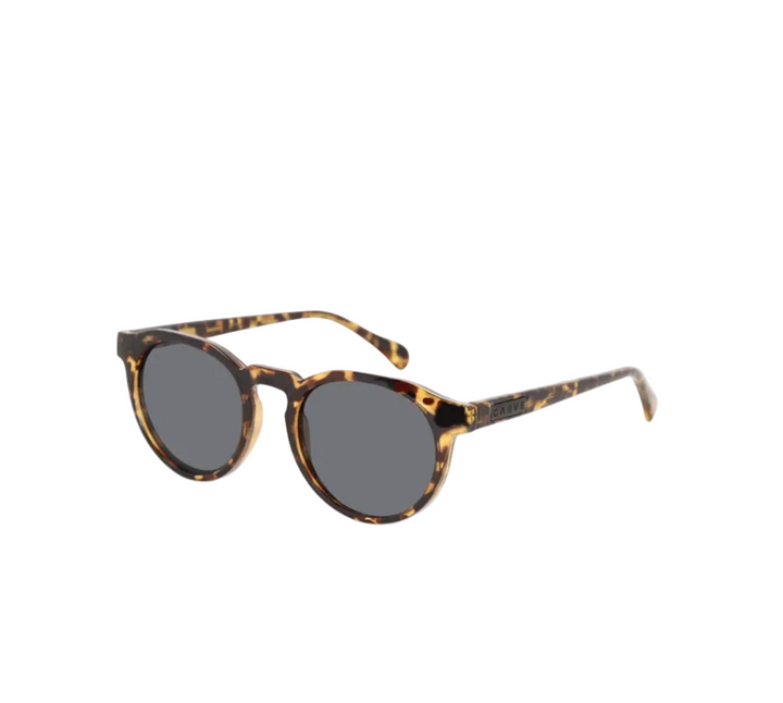 Carve Hudson Sunglasses