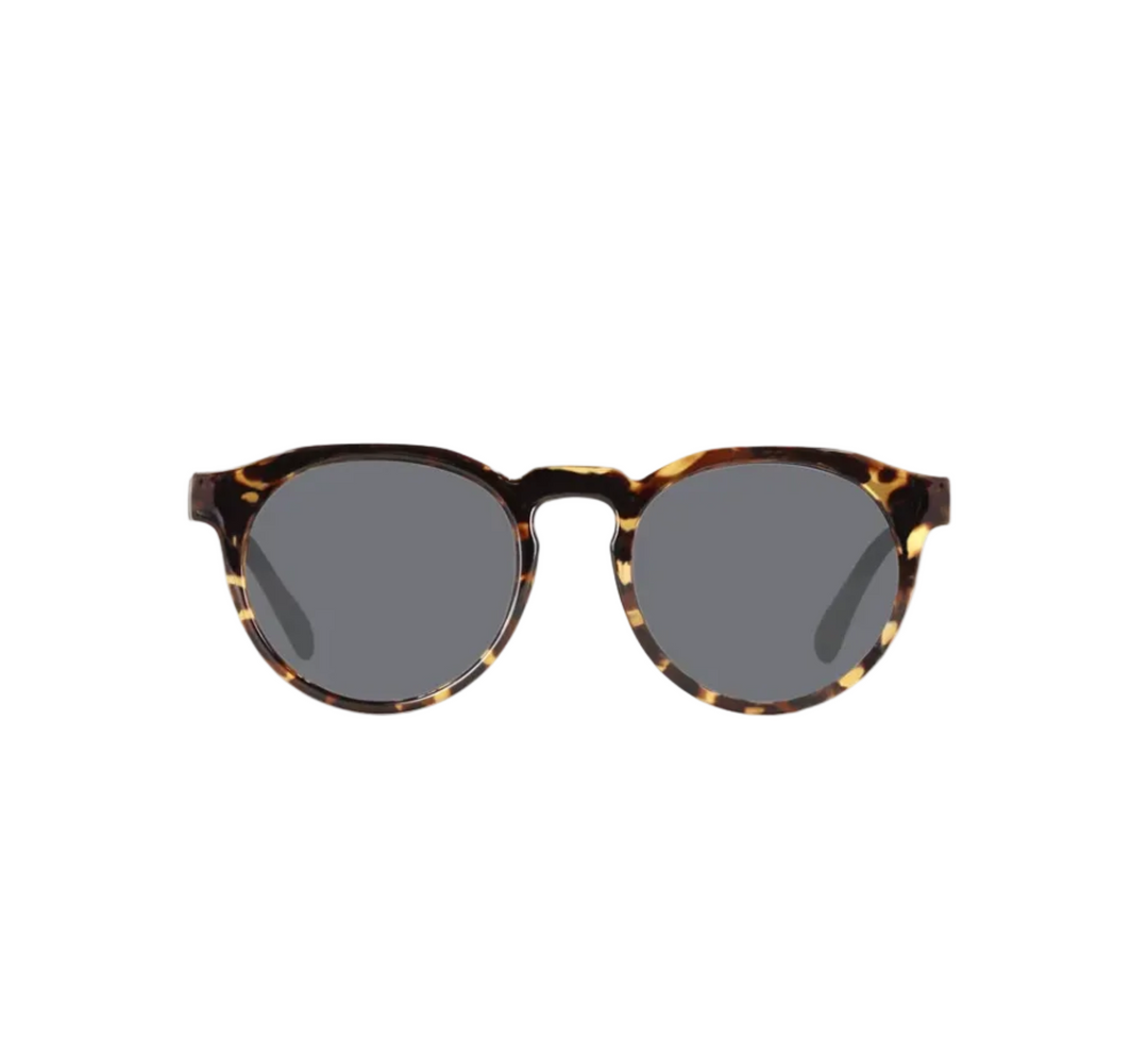Carve Hudson Sunglasses