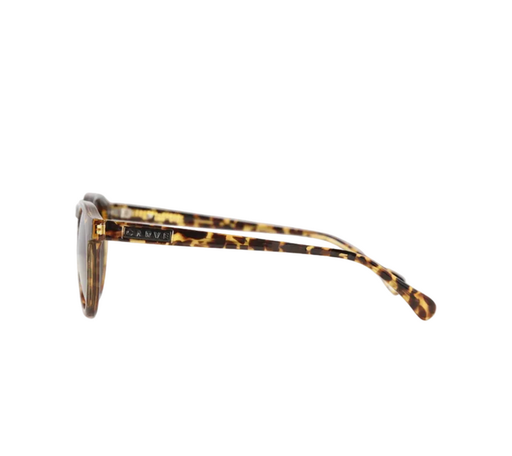 Carve Hudson Sunglasses