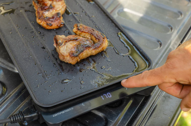 Companion Roam 240V Swift Sear BBQ