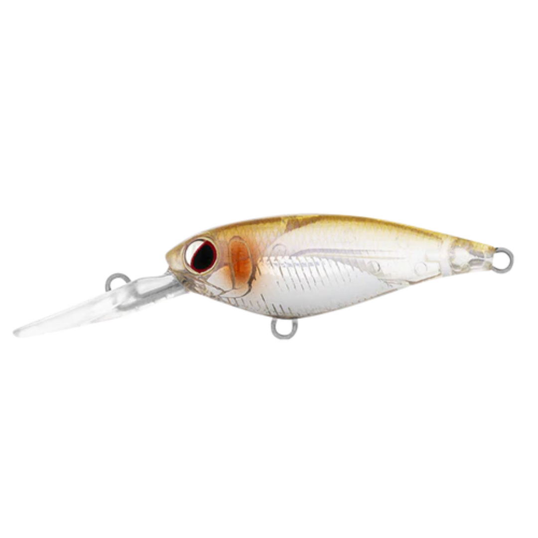 Daiwa Infeet Kodachi 40Sf