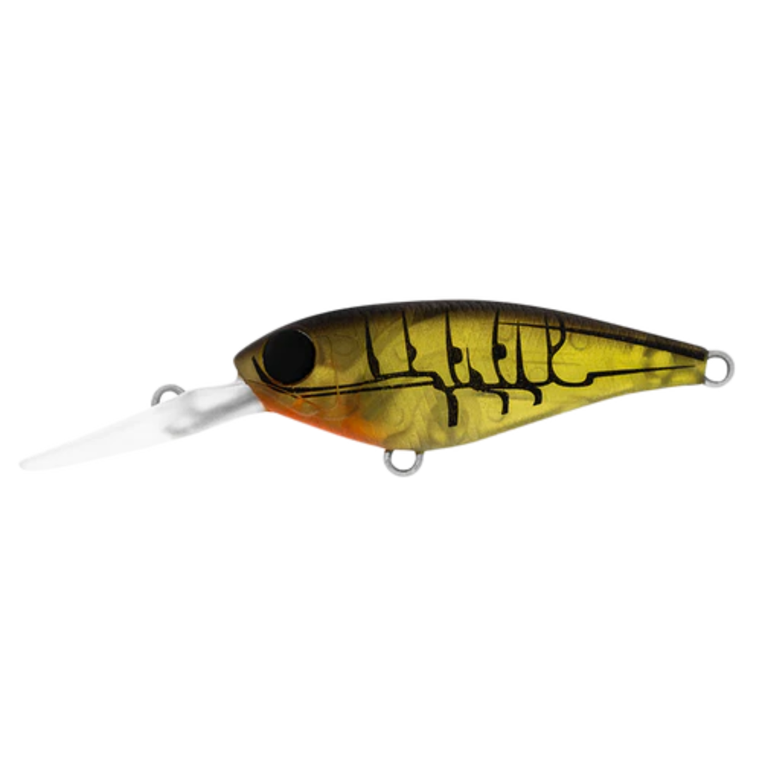 Daiwa Infeet Kodachi 40Sf