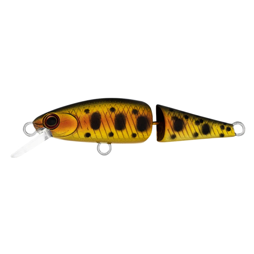 Daiwa-SilverCreek-DR-Minnow-Joint-II-Lure-Cali-Golden