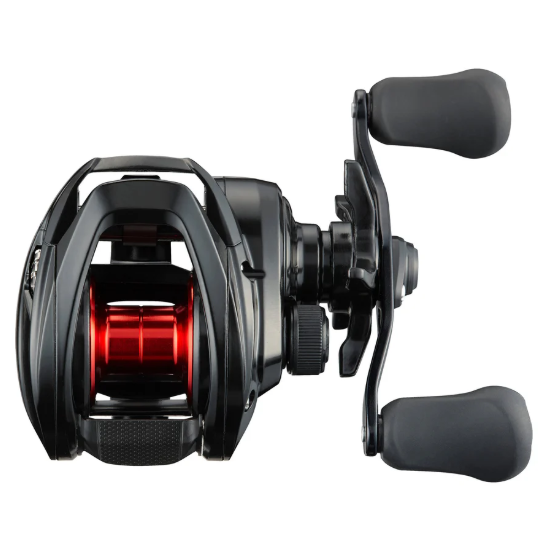Daiwa 21 PR100 Baitcast Reel