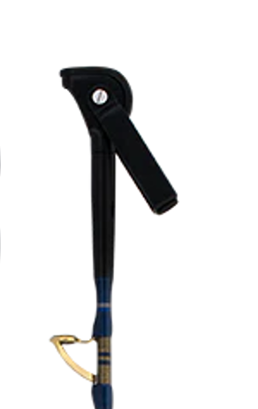 Daiwa 22 Seapower Electric Overhead Rod