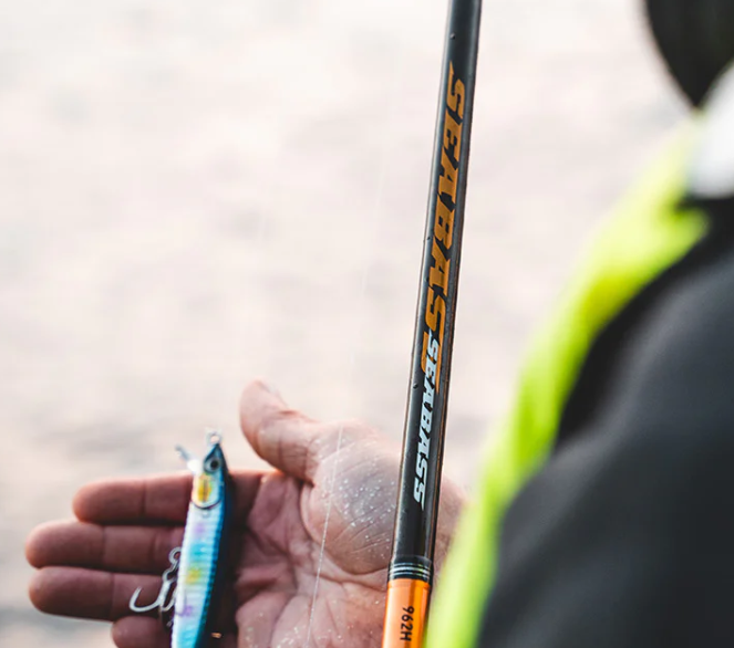 Daiwa 23 Seabass Spin Rod