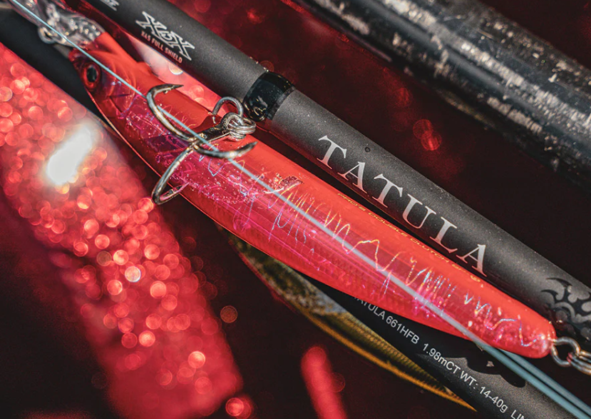 Daiwa 23 Tatula Baitcast Rod