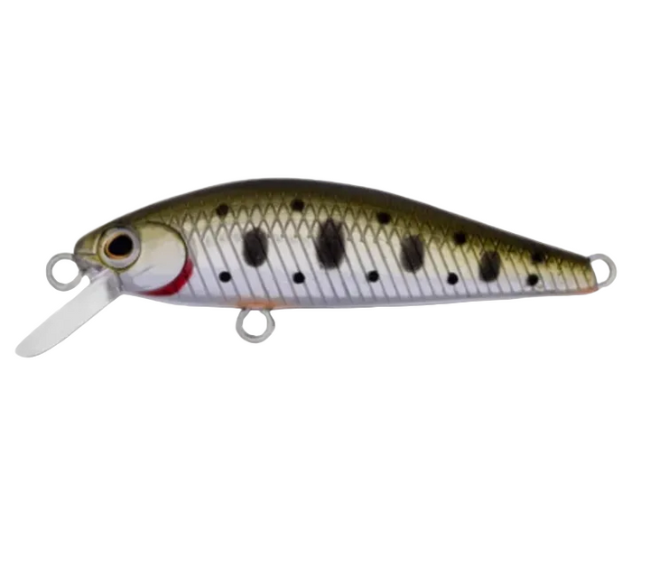 Daiwa SilverCreek DR Minnow II 42S Lure