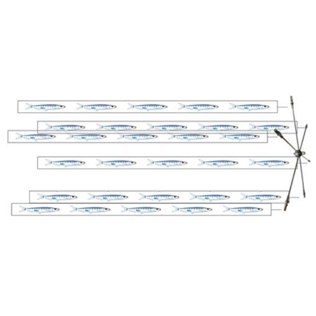 Dredge 12" 7 Laser Fish Strips