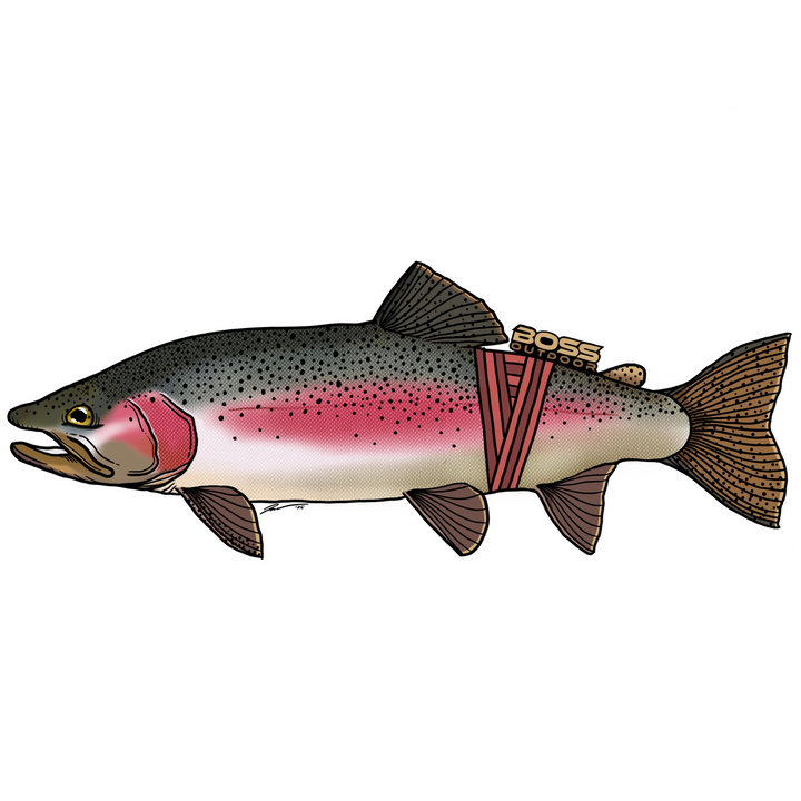 Boss/Headwaters Fish Sticker