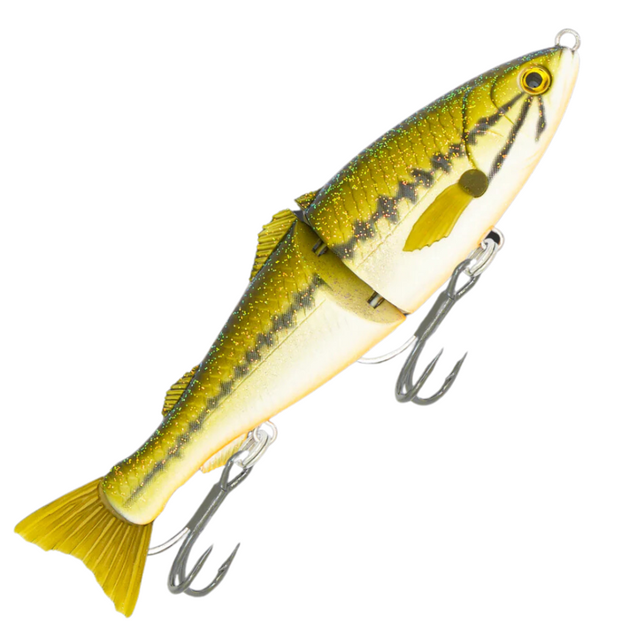 Fishcraft Dr Glide Lure