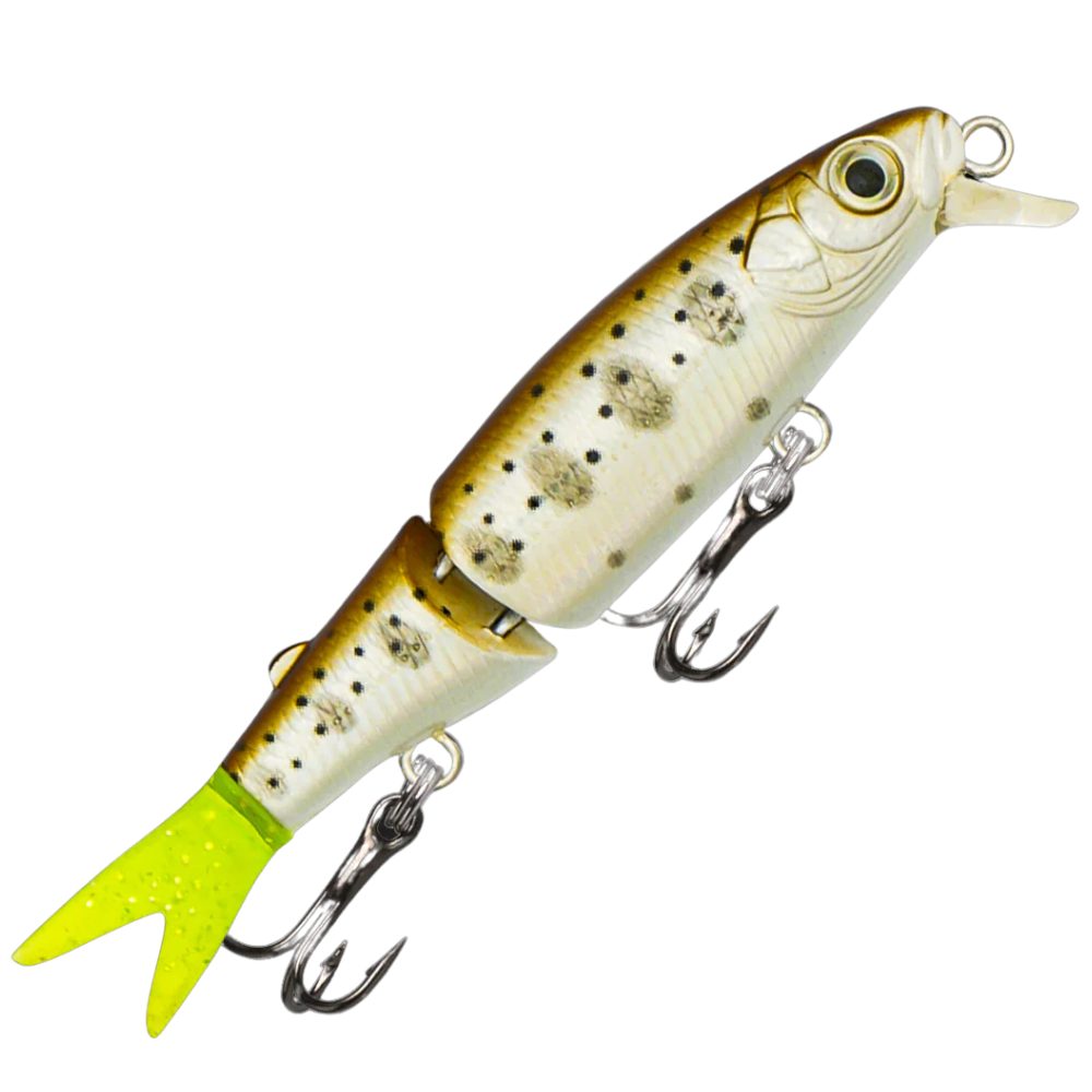 Fishcraft Squirmer Lure