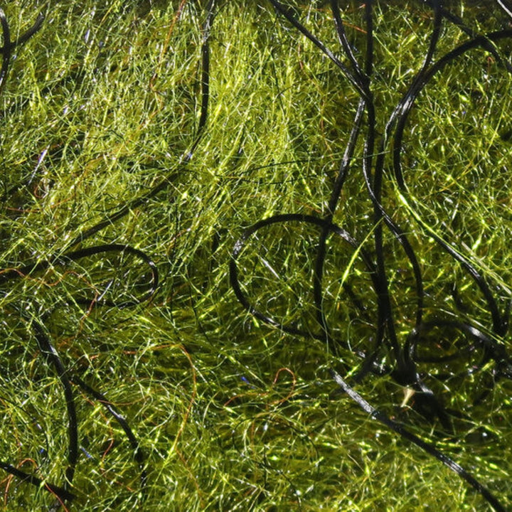 Hareline-Cohen_s-Carp-Dubbing-Rain-Forest-Green