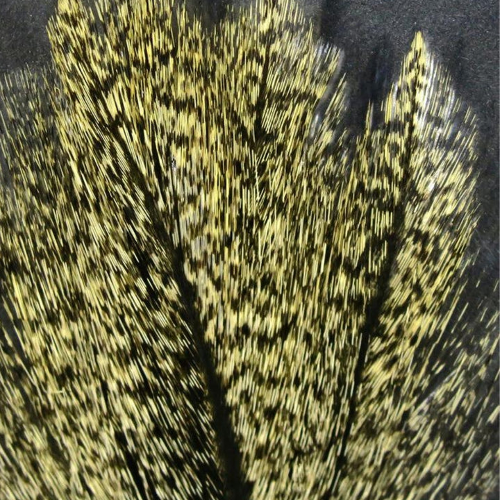 Hareline-Coq-De-Leon-Feathers-Barred-Speckled-Anonchado