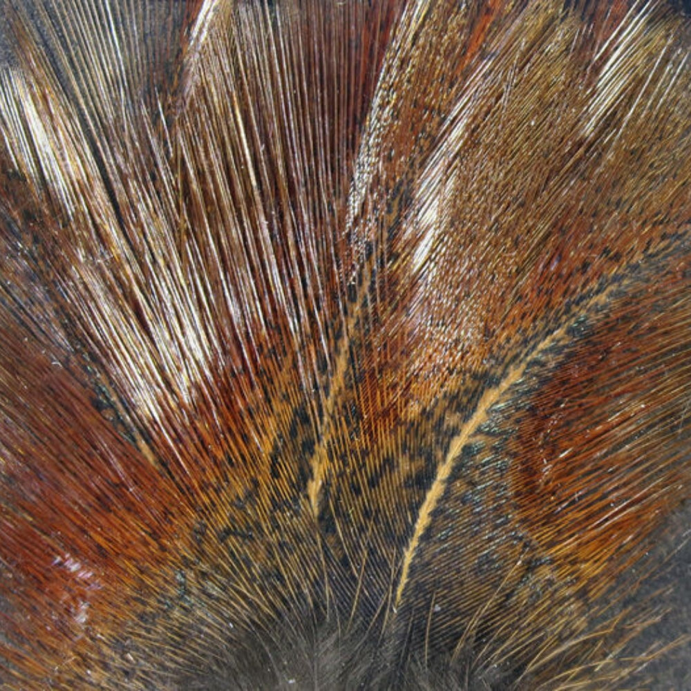 Hareline-Coq-De-Leon-Feathers-Brown