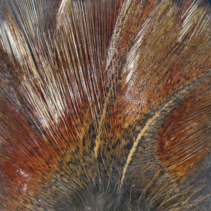 Hareline-Coq-De-Leon-Feathers-Brown