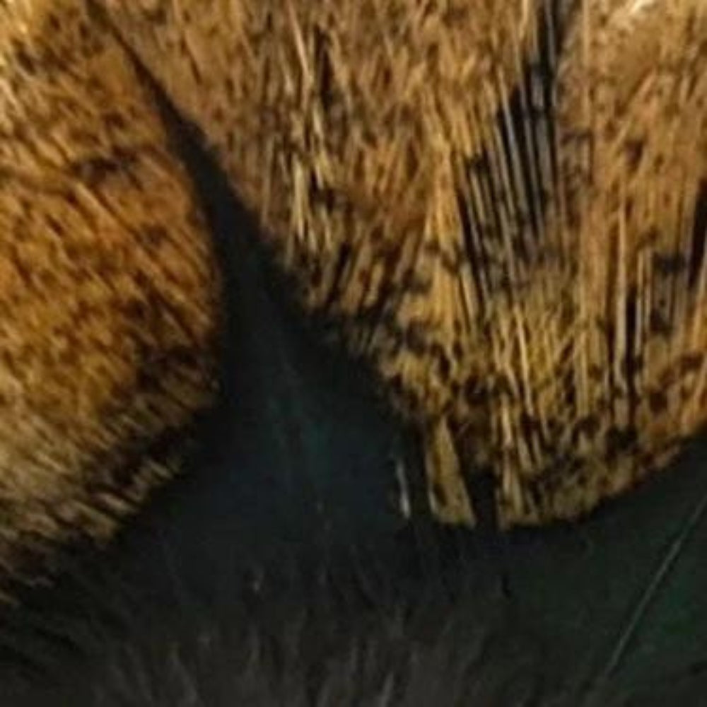 Hareline-Coq-De-Leon-Feathers-Ginger-Speckled-Flor-De-Escoba