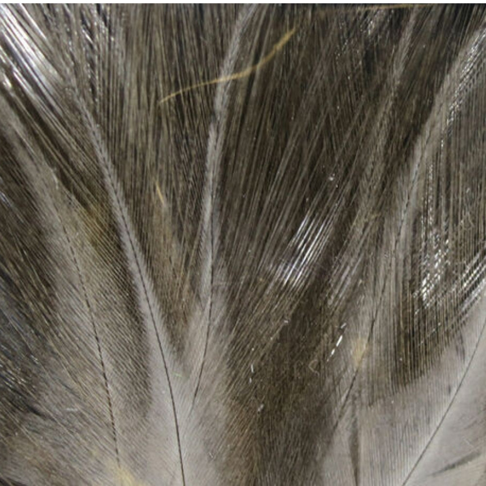 Hareline-Coq-De-Leon-Feathers-Light-Dun