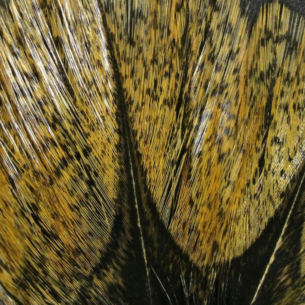 Hareline-Coq-De-Leon-Feathers-Light-Speckled-Pardo