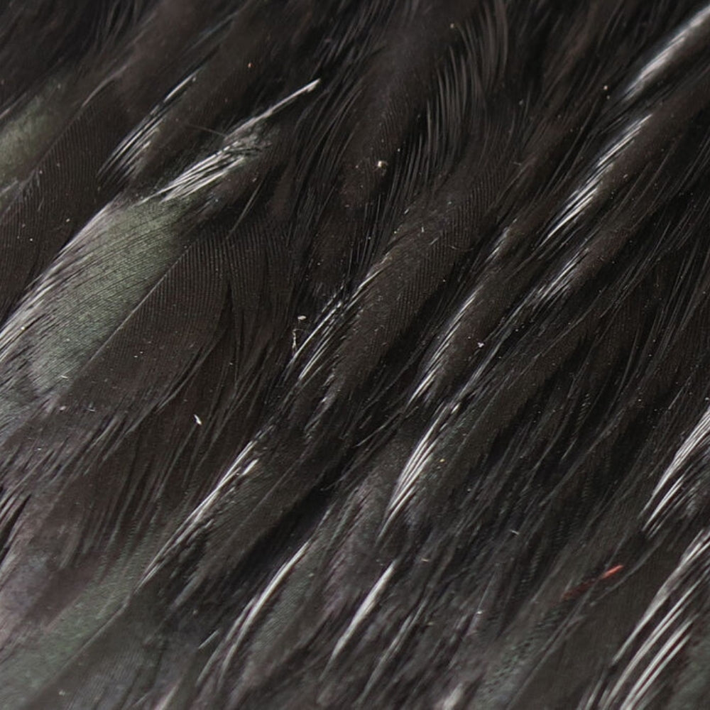 Hareline-Hen-Cape-Black