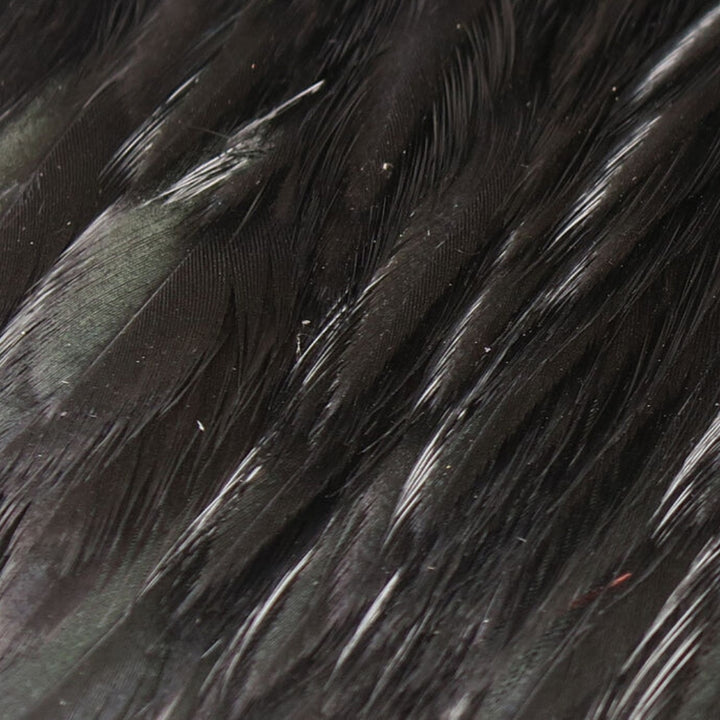 Hareline-Hen-Cape-Black