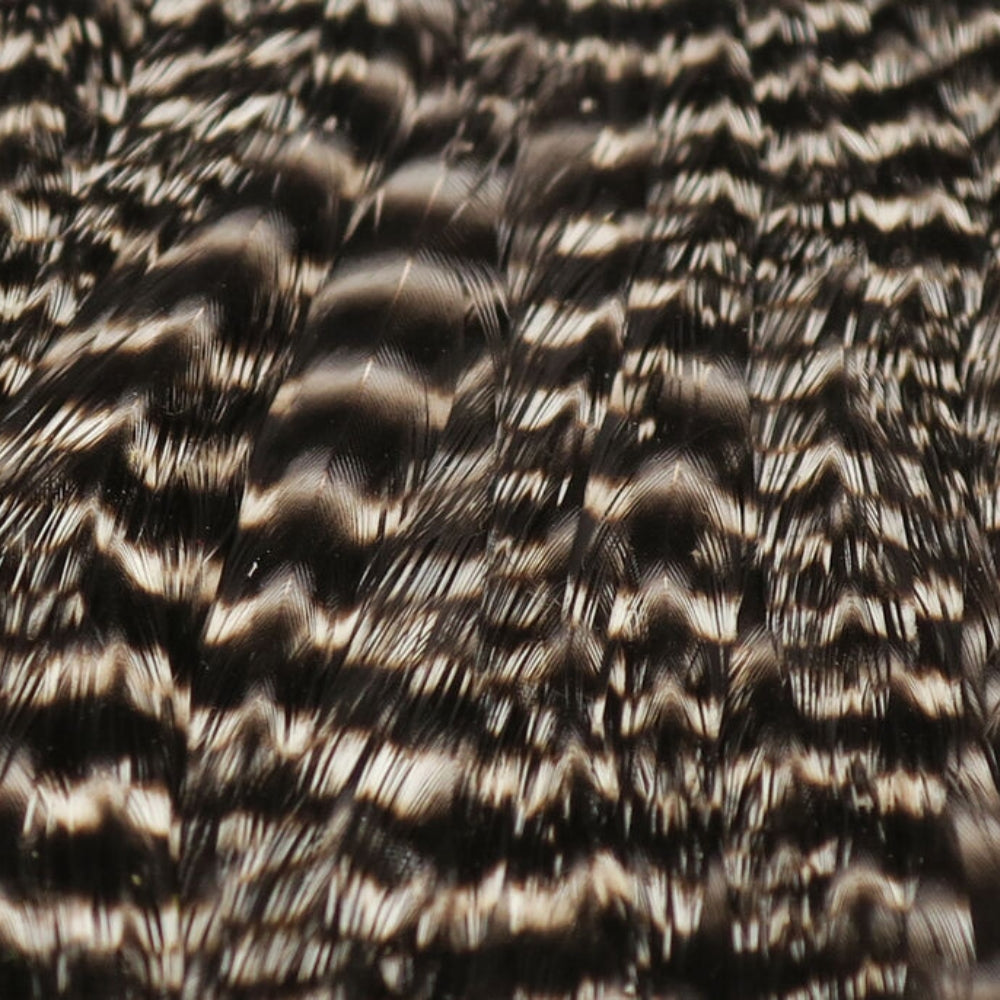 Hareline-Hen-Cape-Grizzly