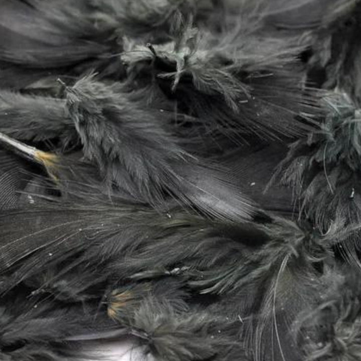 Hareline-Hungarian-Partridge-Feathers-Black